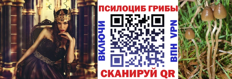 где найти   Чехов  Галлюциногенные грибы прущие грибы 
